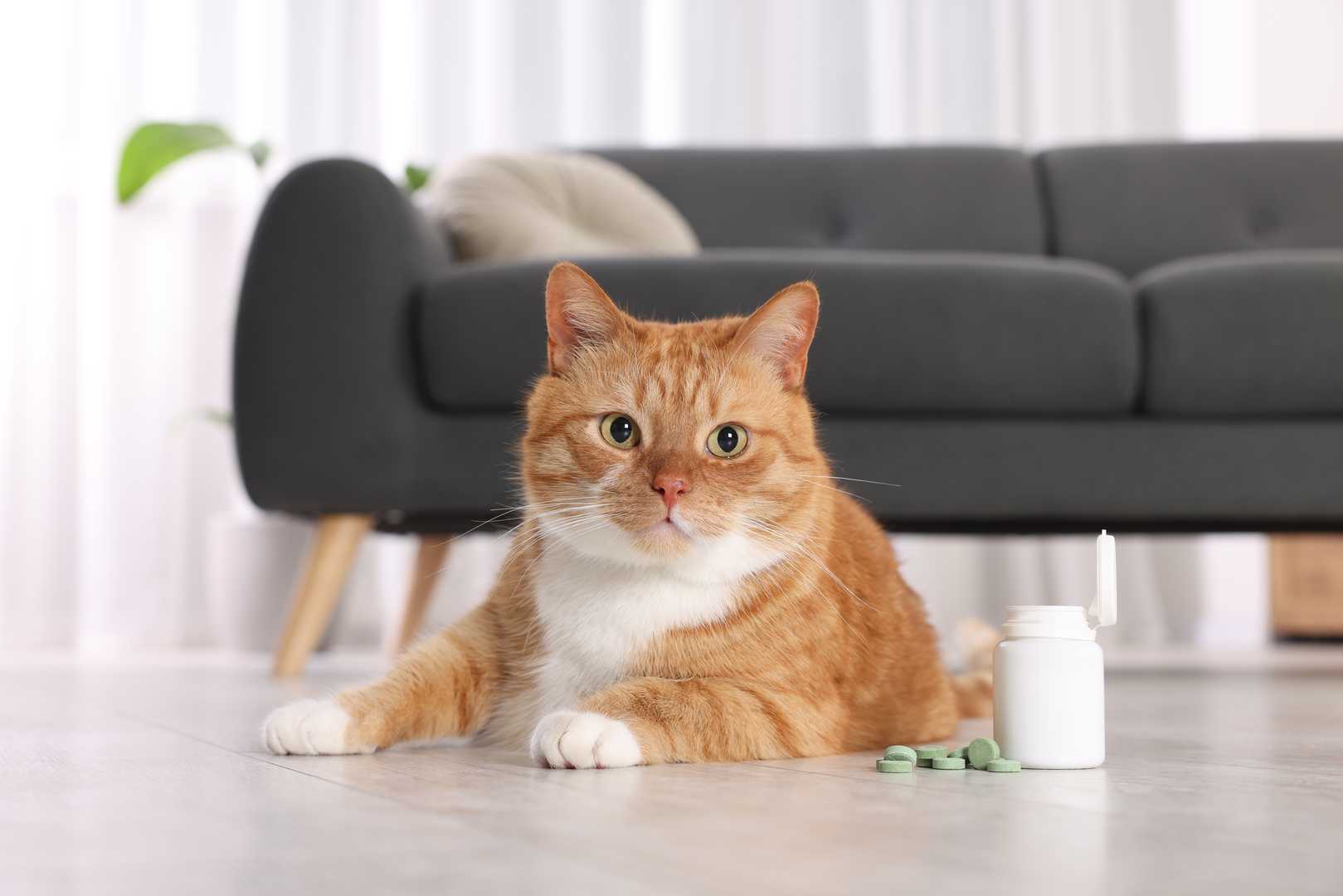 Expertise in Bioinformatics