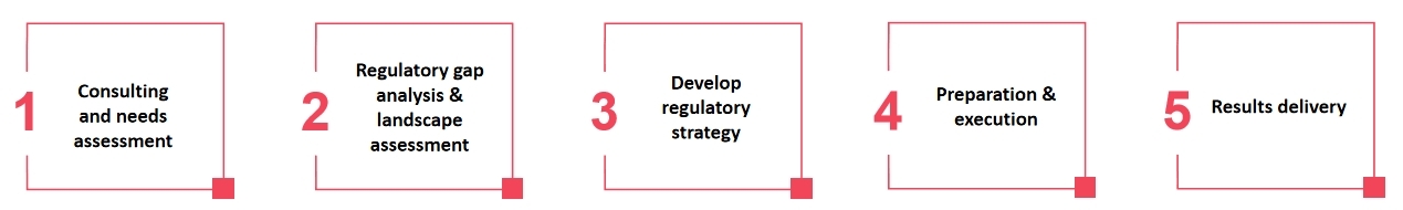 The workflow of our service